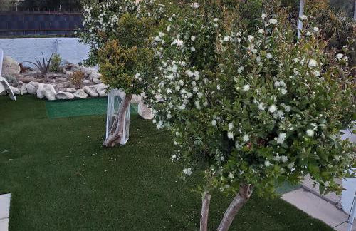 Villa Andres - Foto 56