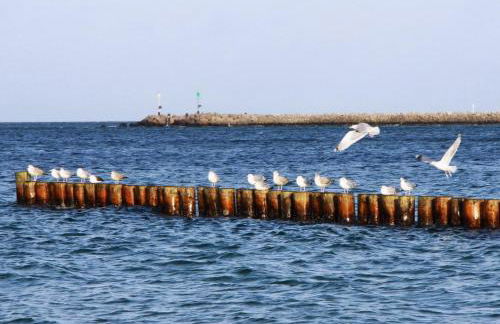 Ferienhaus Ostseedüne Glowe - Rügen - Foto 35