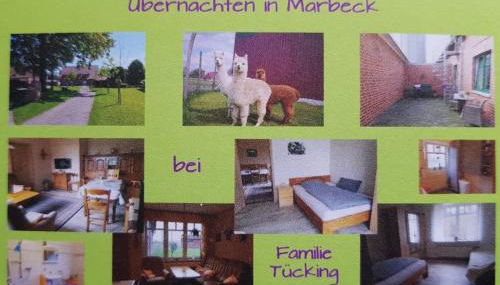 Omas Stübchen - Monteurwohnung auf dem Land - Photo 5