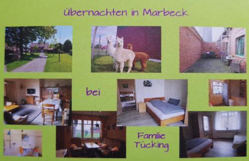 Omas Stübchen - Monteurwohnung auf dem Land - Foto 5