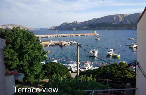 Margarita - Photo 13