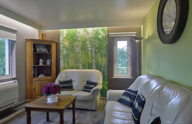 Holiday Home in Stoumont With Sauna & Garden - Photo 11