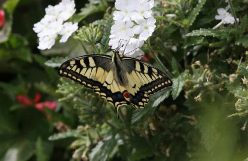 Ferienwohnung Anderswo - Foto 19
