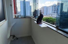 Amplo apê em bairro nobre - Foto 39