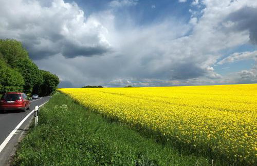 Monteur-Ferien-Messewohnung Mettmann 6 Personen 2 OG - Foto 5