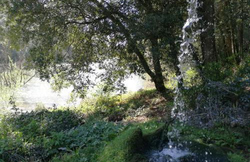 Vacanze Verde Mare - Beggi - Foto 51