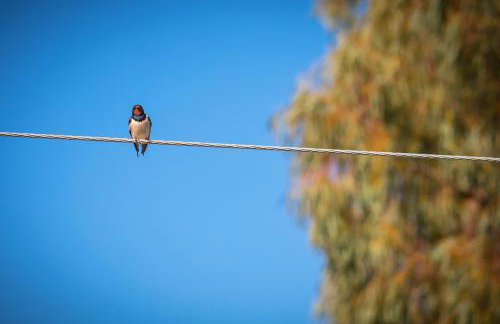 Koronisia Apartments - Foto 15