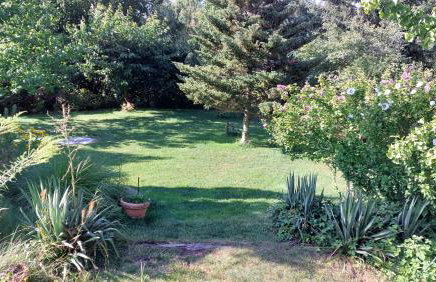 Chill Haus mit Sauna und Kamin - Photo 16