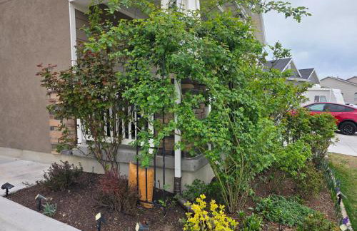 Cozy Apt Near BYU UVU Canyon - Photo 26