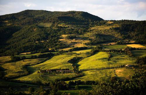 Agriturismo Casale Le Crete - Foto 22