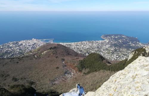 Casa Filomena - Foto 4