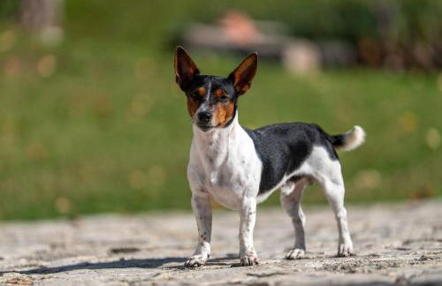 Premignaga Natural Home - Foto 60