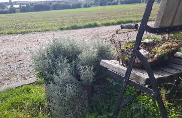 Ferienwohnung Schöne Aussicht - Foto 8