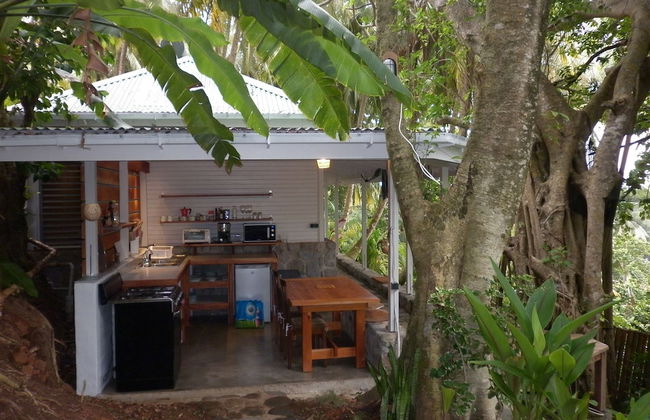 Citrus Creek Plantation - Photo 43