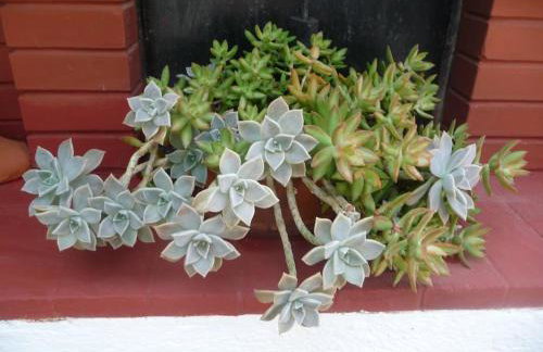 Charming Villa Maria - Foto 25