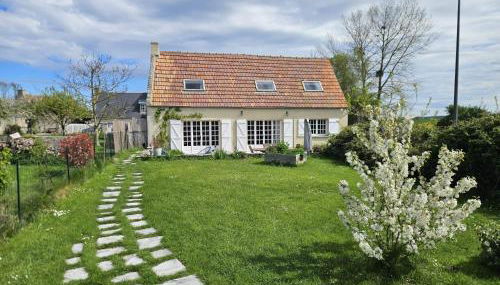 La petite chouette - Photo 3