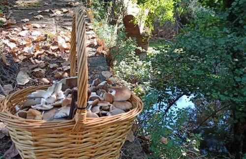 Casa Monte Los Peñasquitos - Photo 36