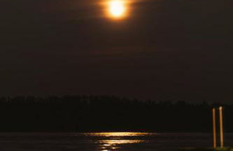 Nad Narvią - Glamp - Foto 23