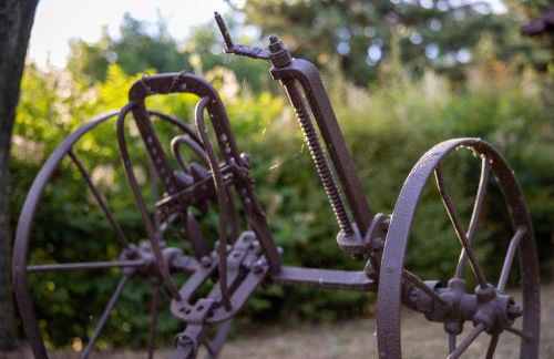 Capitati...per caso - Foto 41