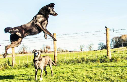 The Orchards - Foto 19