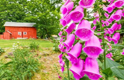 Cozy Catskills Vacation Rental with Deck! - Foto 40