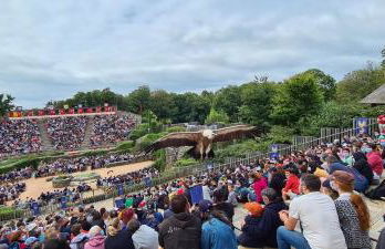 Jolie Studio Le Pavachon à 3 min du Puy du Fou Les Epesses - Foto 30