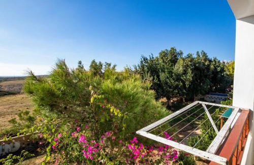 Barbarossa Apartments - Foto 39