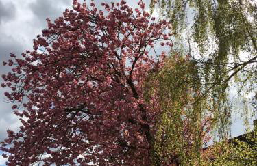 Haus Osterwiese - Foto 13