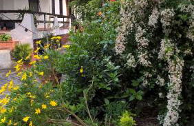 Valle degli Ulivi appartamento - Foto 24