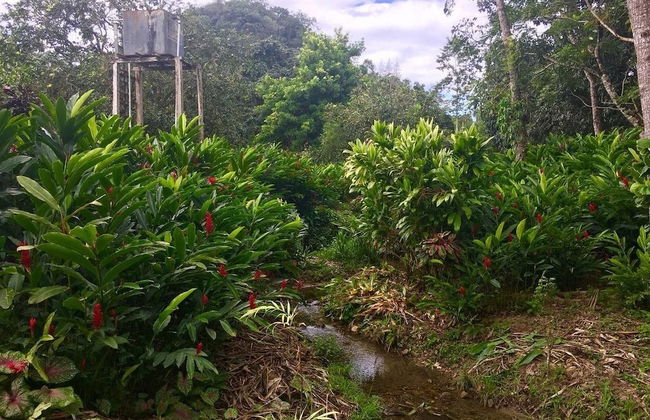 Orchard House - Photo 21