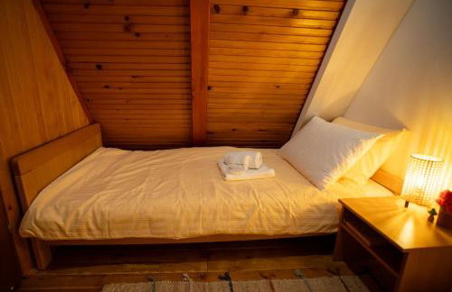 Villa Planica Holiday Home - Foto 16