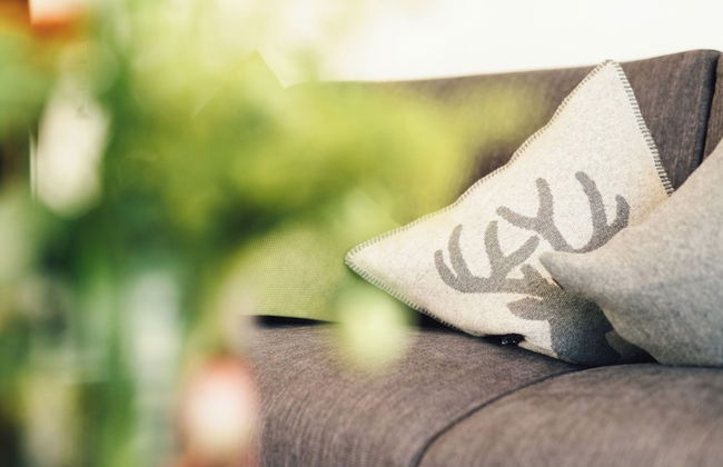 Schneeweiss - Foto 67