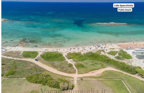 La vista mare da Viola - Foto 26