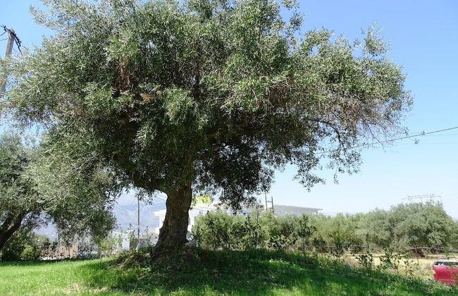 Lyrids Apartments - Photo 149