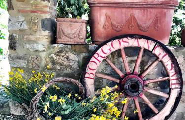 Borgo San Gusmè - Foto 10