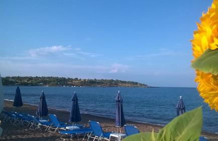 Armonia Houses - Photo 45