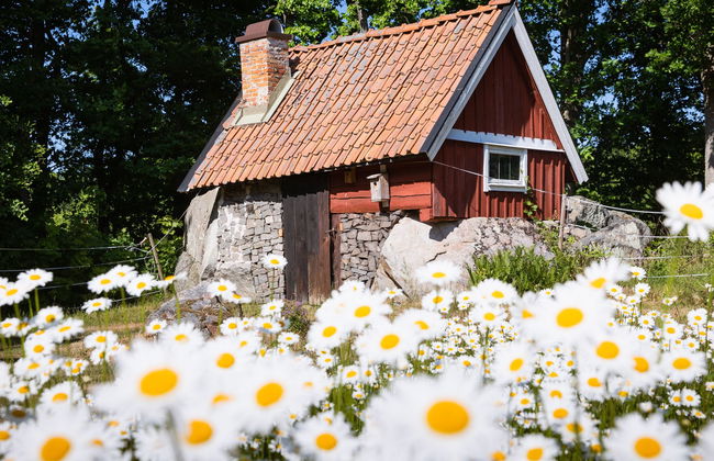 3 bedroom House in Trensum with garden - Photo 8