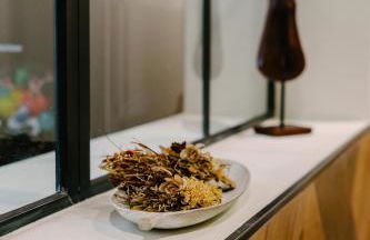 La Peregrina - Photo 51