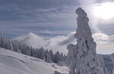 Two apartments in one house - Ferienhaus Matz - Foto 29