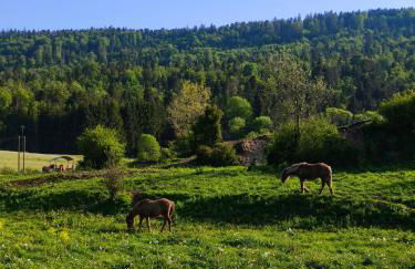 Chalet d'exception avec sauna - proche station du retord - Foto 24