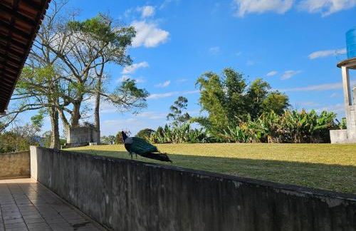 Sítio Santa Filomena - São Roque - Foto 19