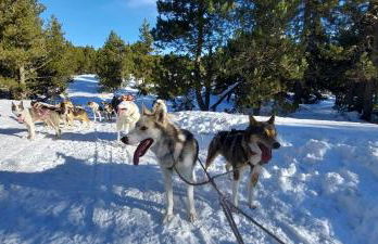 Résidence Campredon - Décoration typique - 25m2 de Terrasse aménagée plein sud avec vue panoramique - Internet - Jardin - Parking - Navette - Linge et Ménage en options payantes - Foto 50