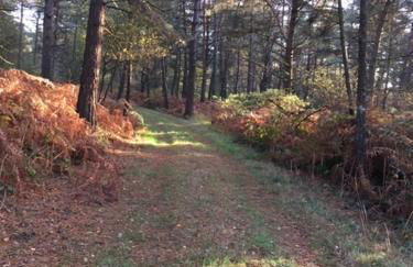 La Grange - Photo 60