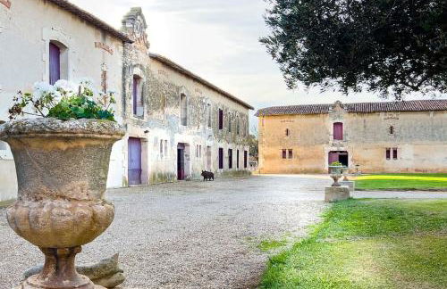 Mas de charme en pleine Camargue - Photo 42