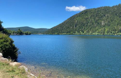 Les écureuils - Foto 15