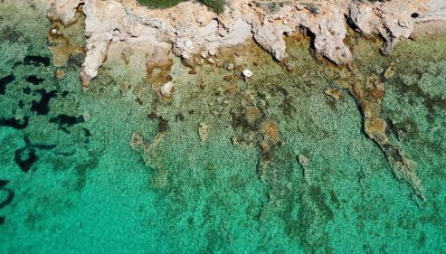 House Mirta - Photo 3