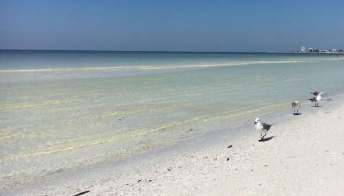 Kingston Arms 2nd Fl Walk to Beach & St. Armands Circle - Foto 4