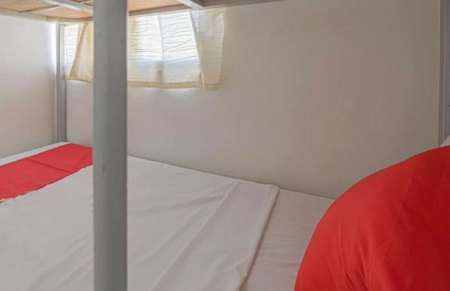 Alicia Apartment - Photo 16