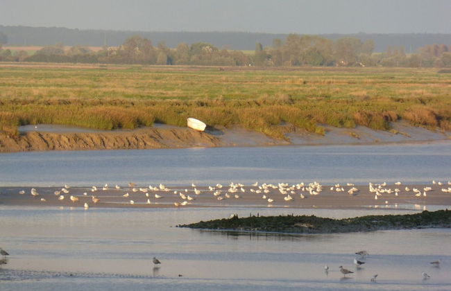 Beautiful Apartment, 2 Terraces, Near Beach - Photo 23