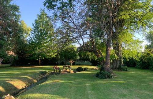 La Grande Maison - Photo 66